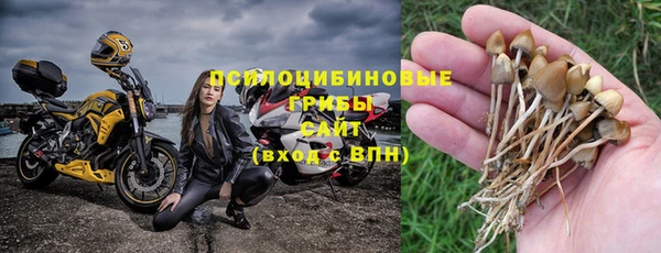 мет Арсеньев