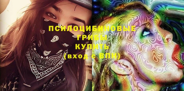 мет Арсеньев