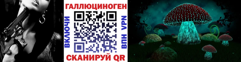 Галлюциногенные грибы Psilocybe  Купить где  Андреаполь 