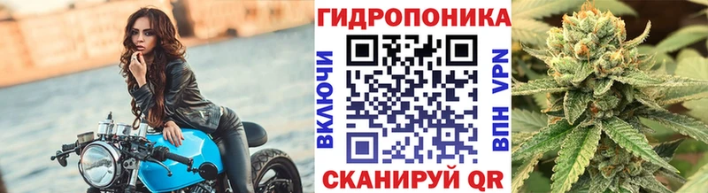 Купить закладки  Андреаполь  Каннабис OG Kush 